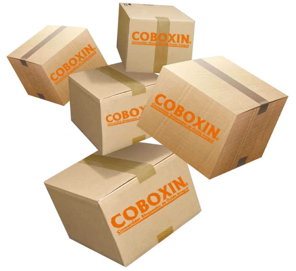 Paquetes coboxin Paquetes coboxin